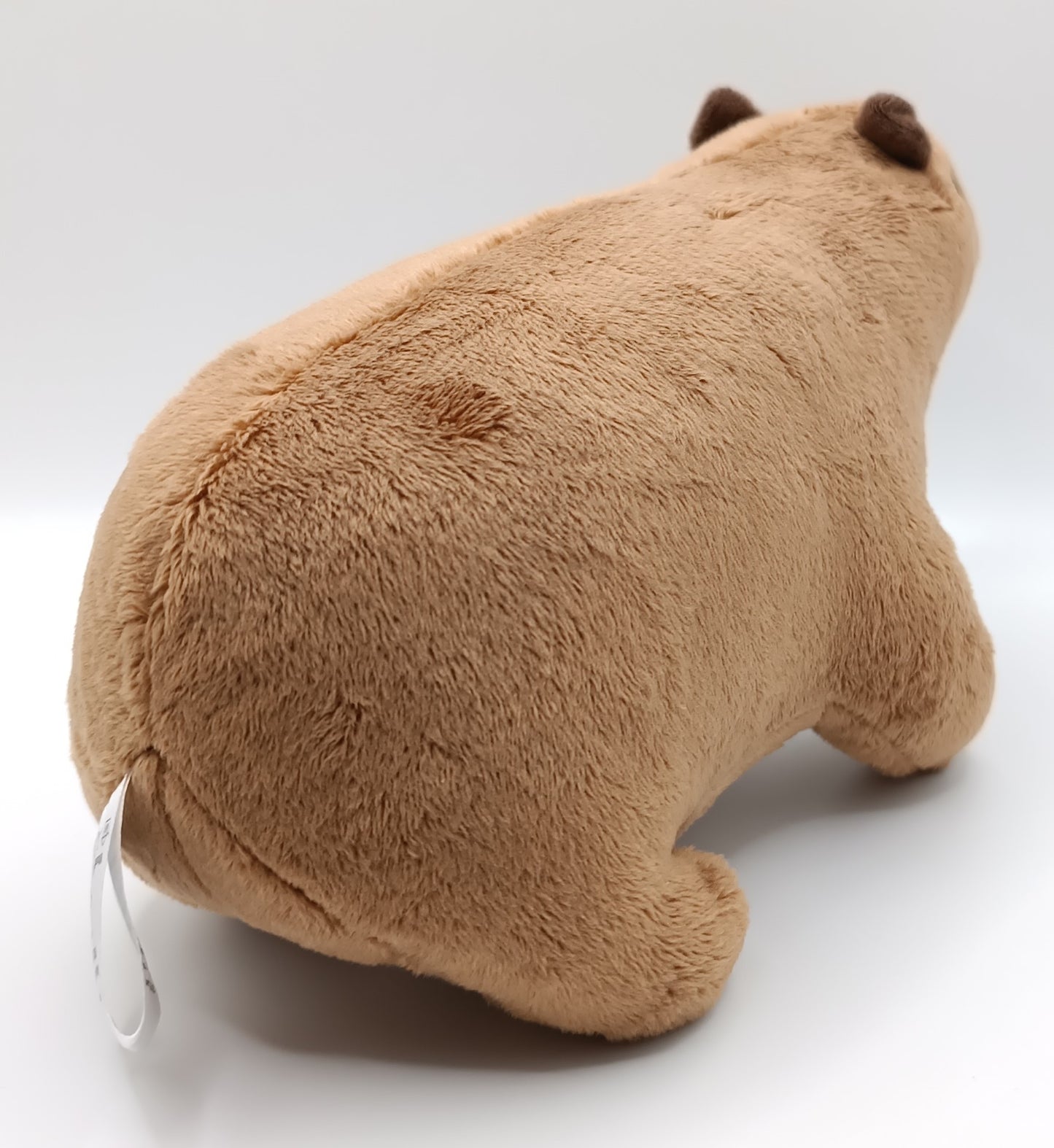 Peluche Capybara NEW