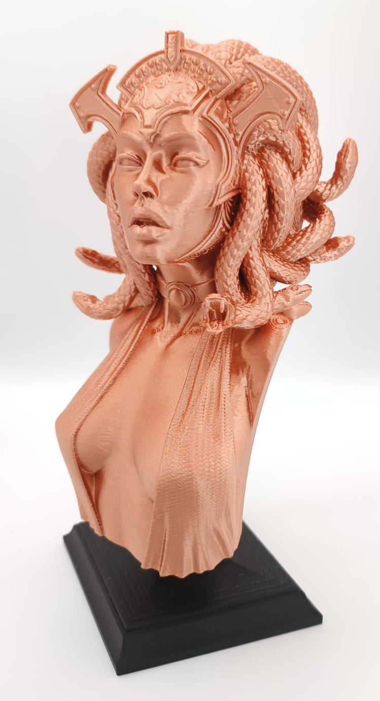 Busto Medusa, Gorgone