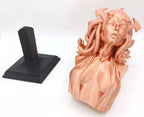 Busto Medusa, Gorgone