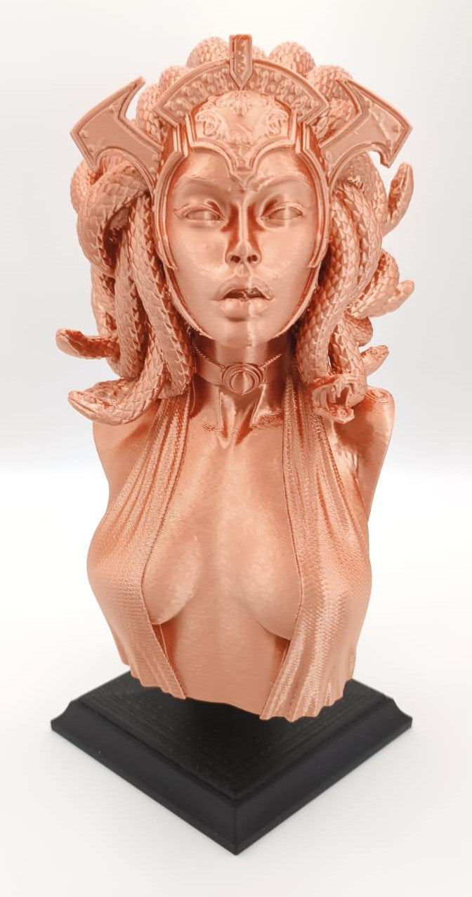 Busto Medusa, Gorgone