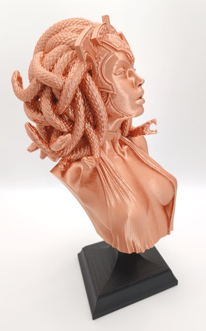 Busto Medusa, Gorgone