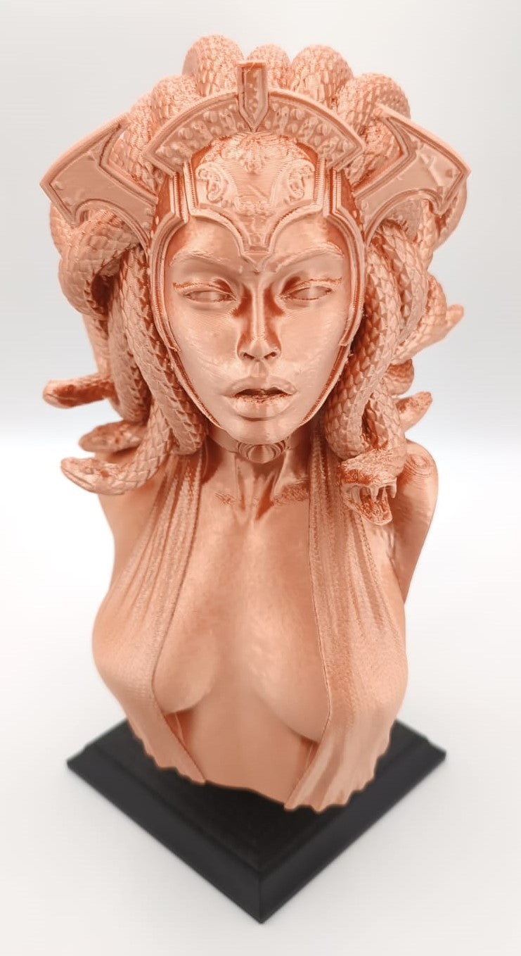 Busto Medusa, Gorgone