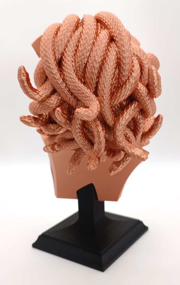 Busto Medusa, Gorgone