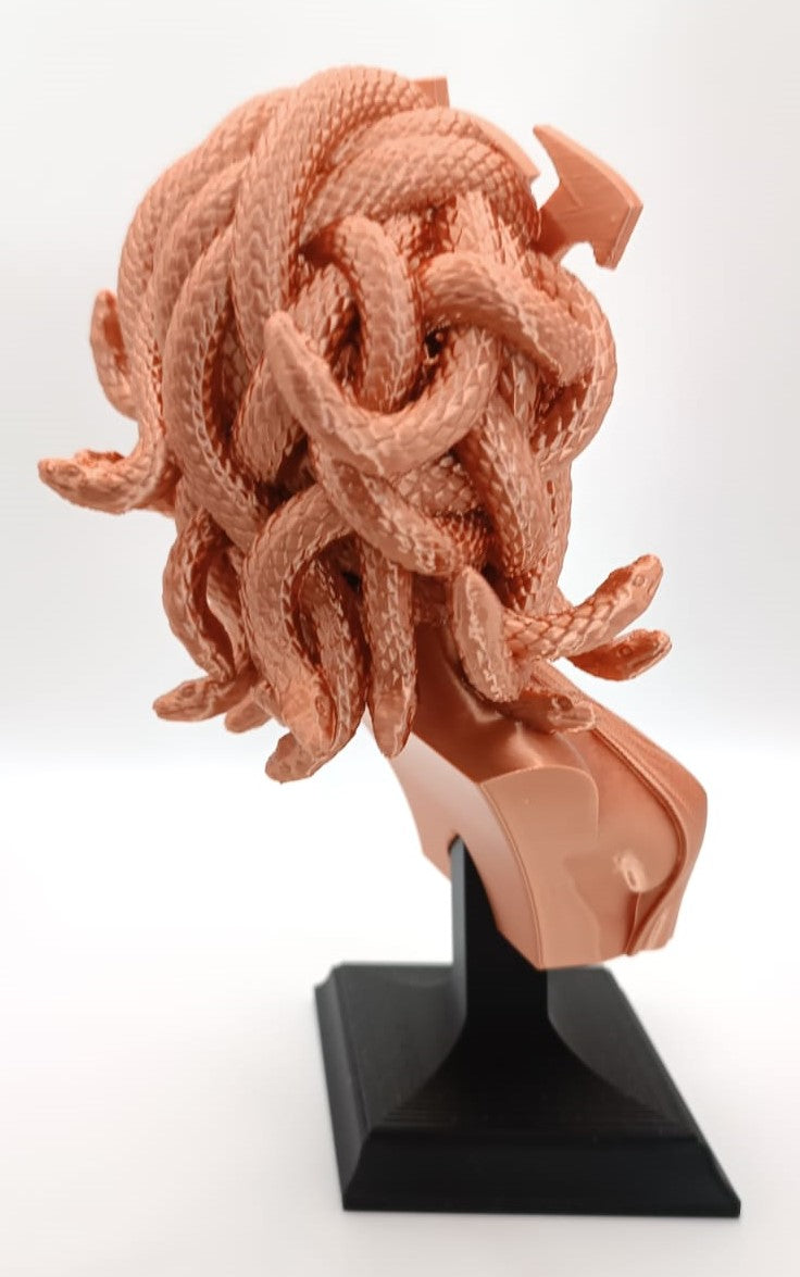 Busto Medusa, Gorgone