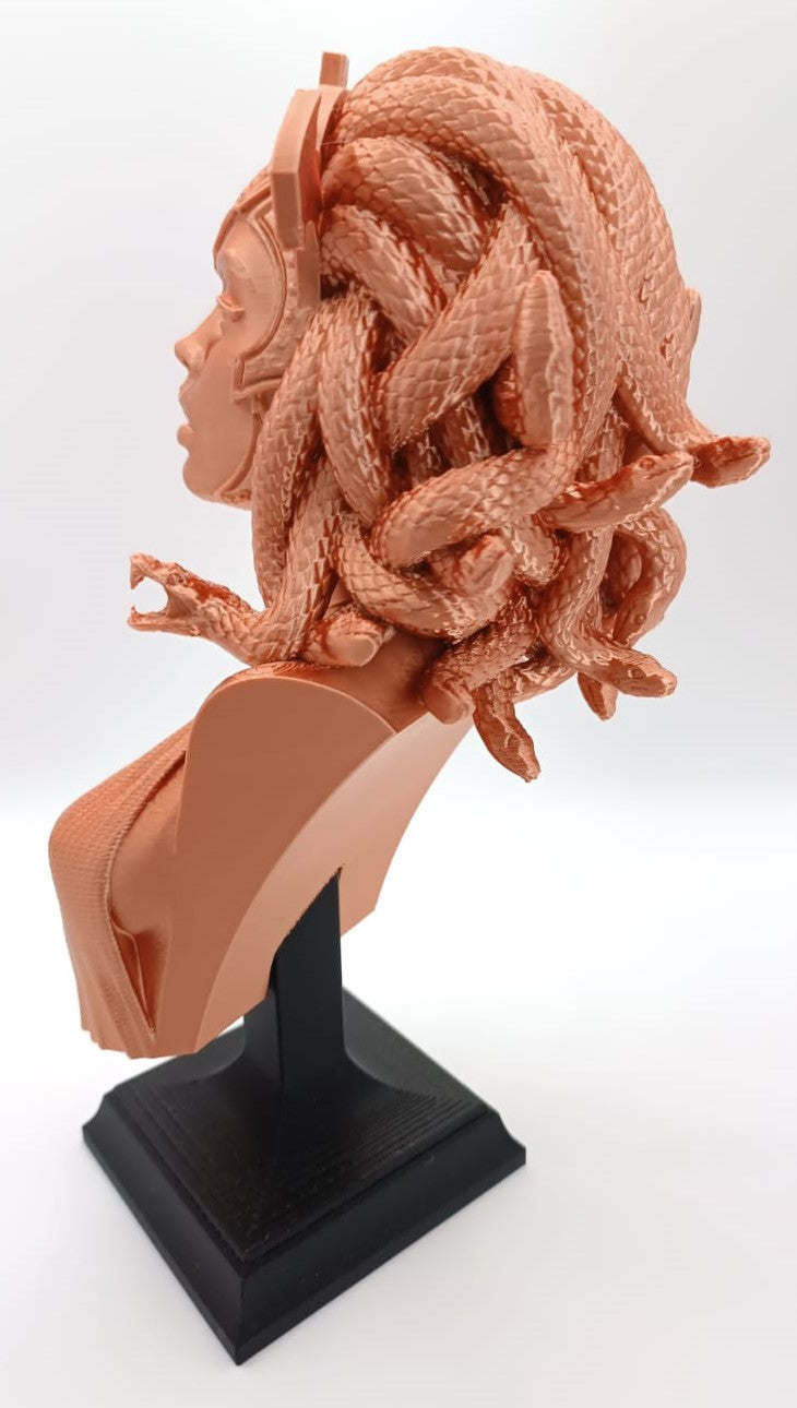 Busto Medusa, Gorgone