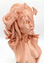 Busto Medusa, Gorgone