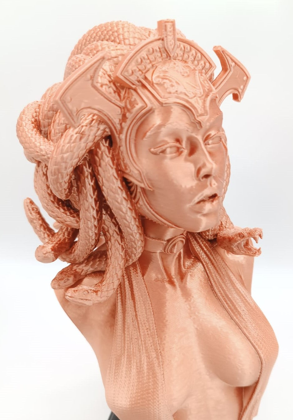 Busto Medusa, Gorgone