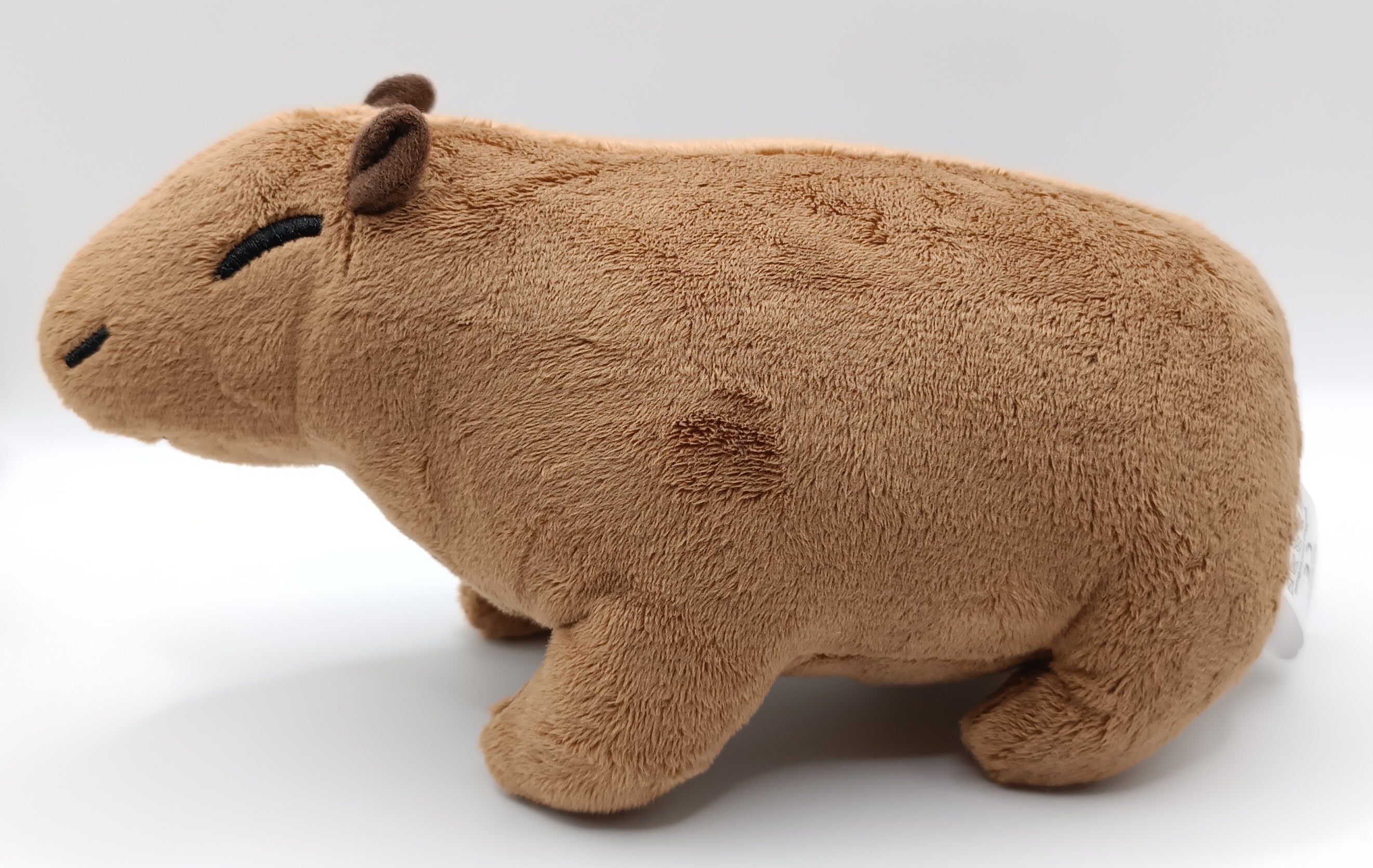Peluche Capybara