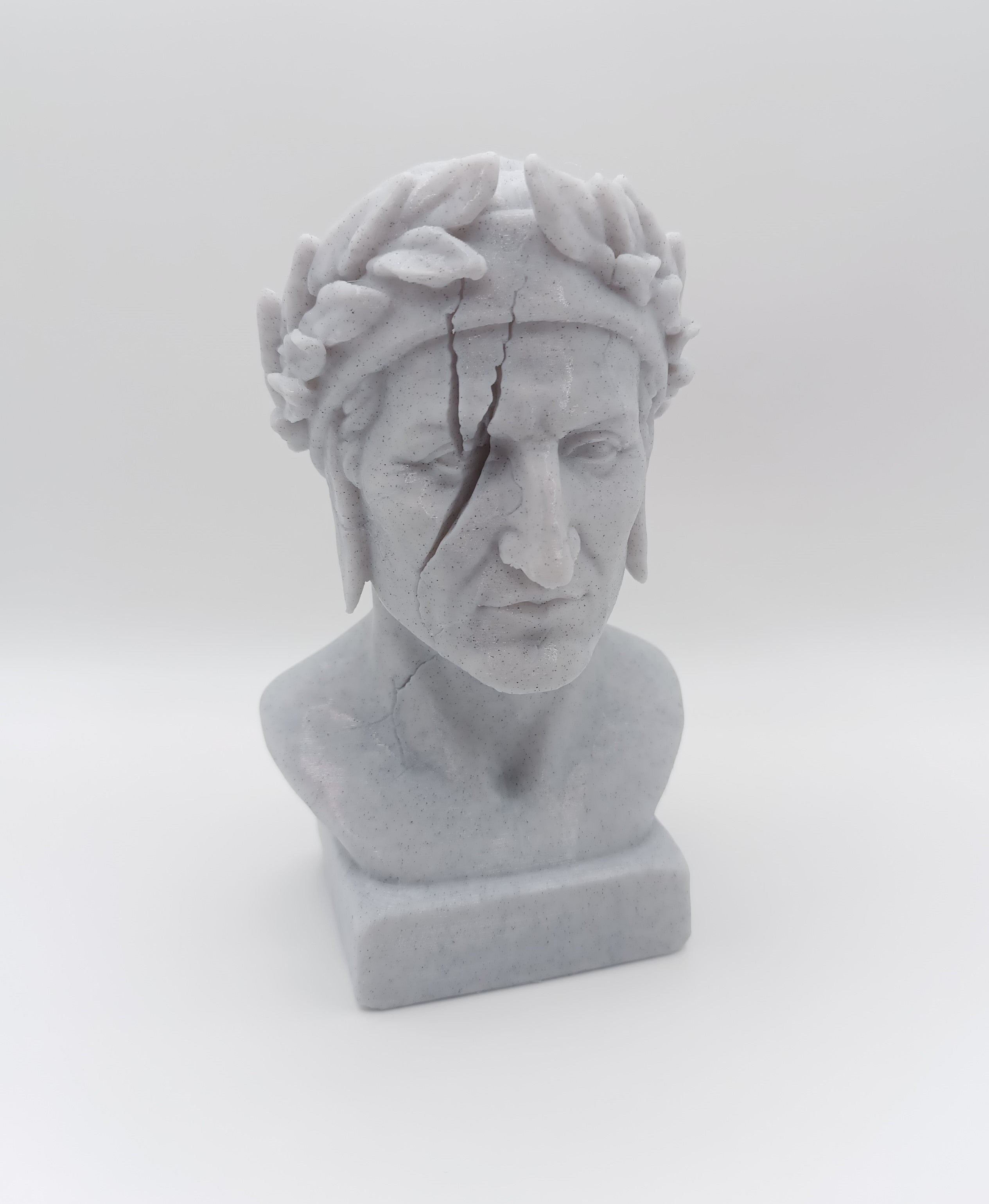 Busto Fratturato Dante Alighieri