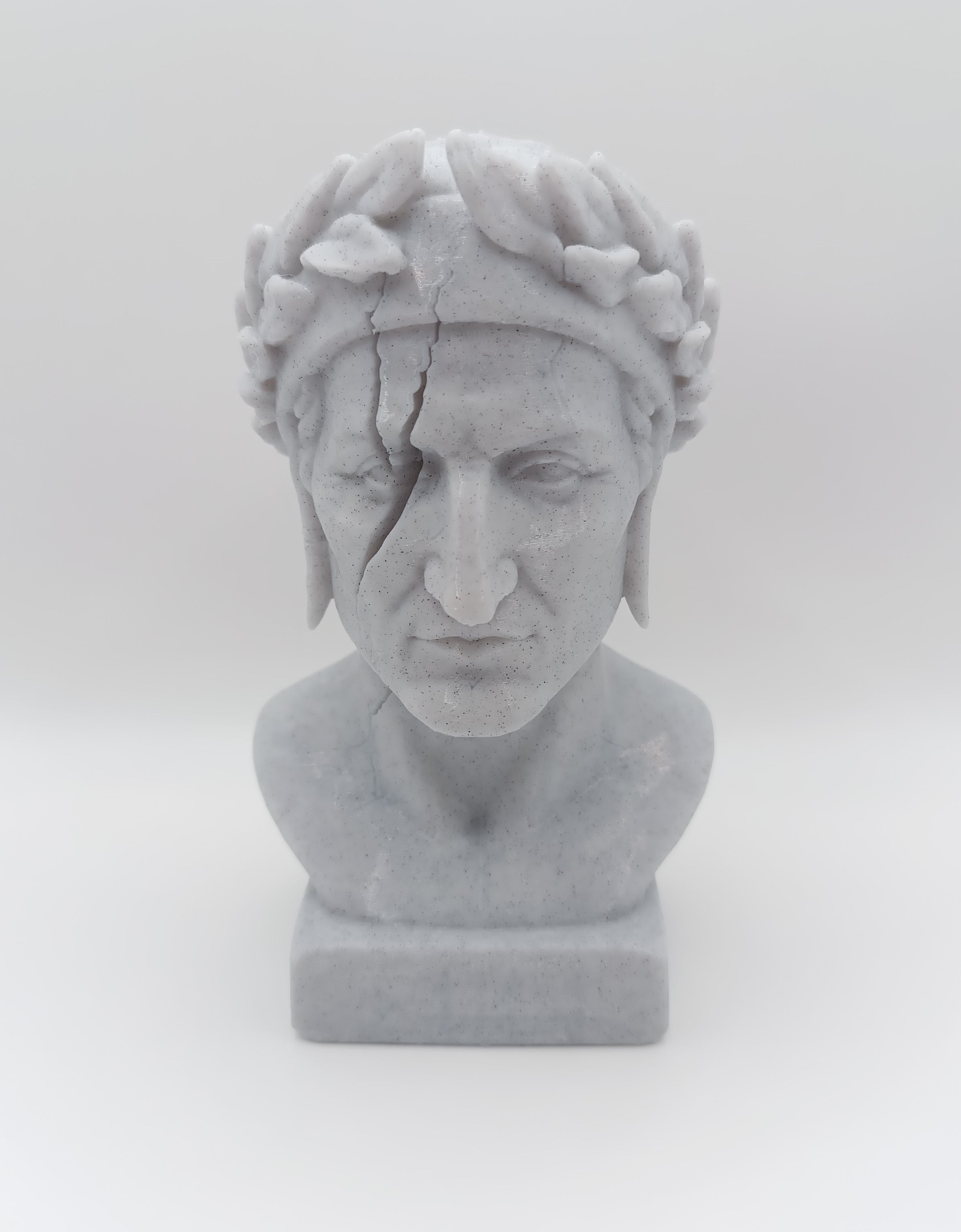 Busto Fratturato Dante Alighieri