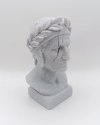 Busto Fratturato Dante Alighieri