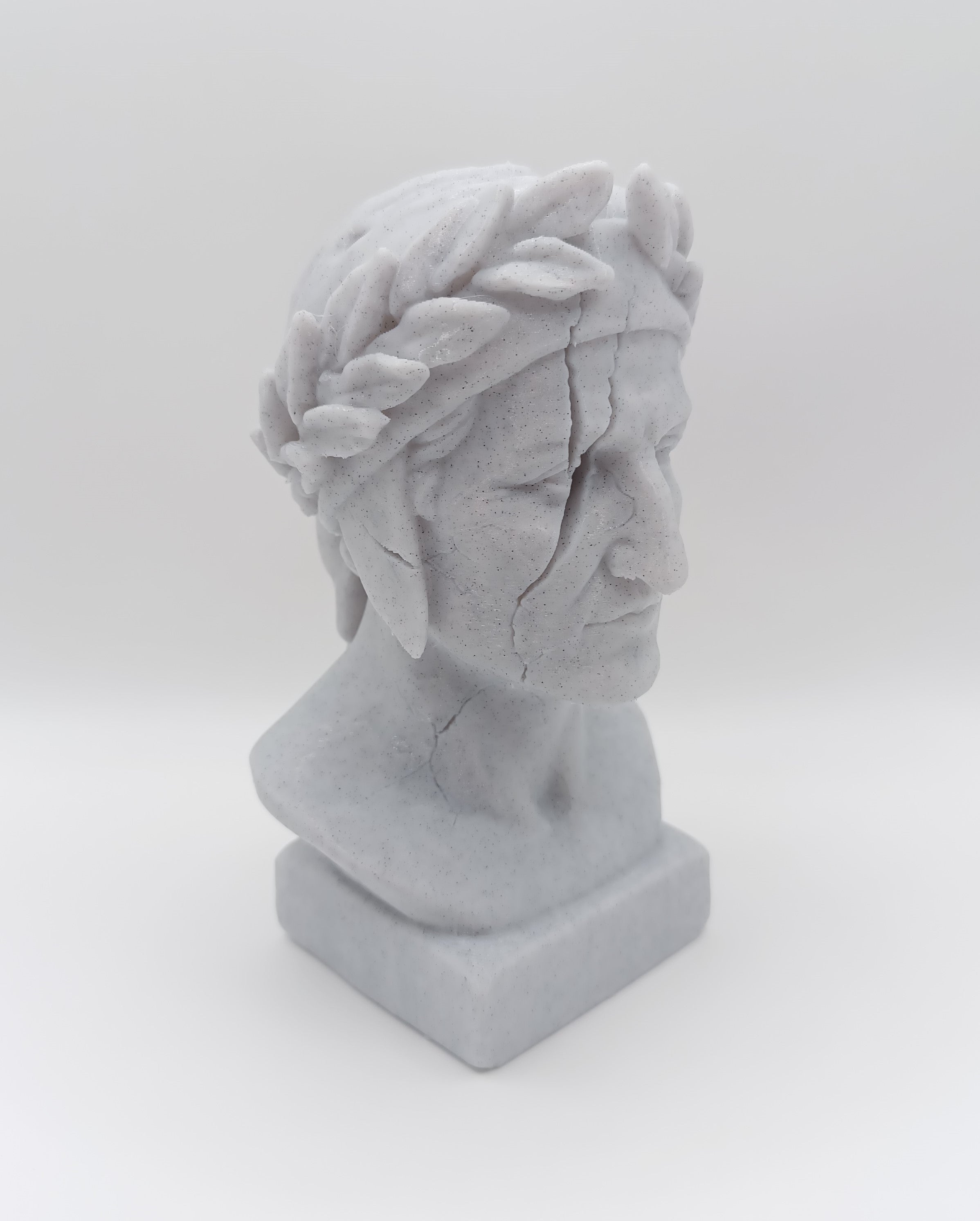 Busto Fratturato Dante Alighieri