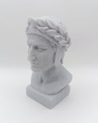 Busto Fratturato Dante Alighieri