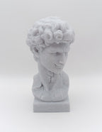 Busto Fratturato David di Michelangelo