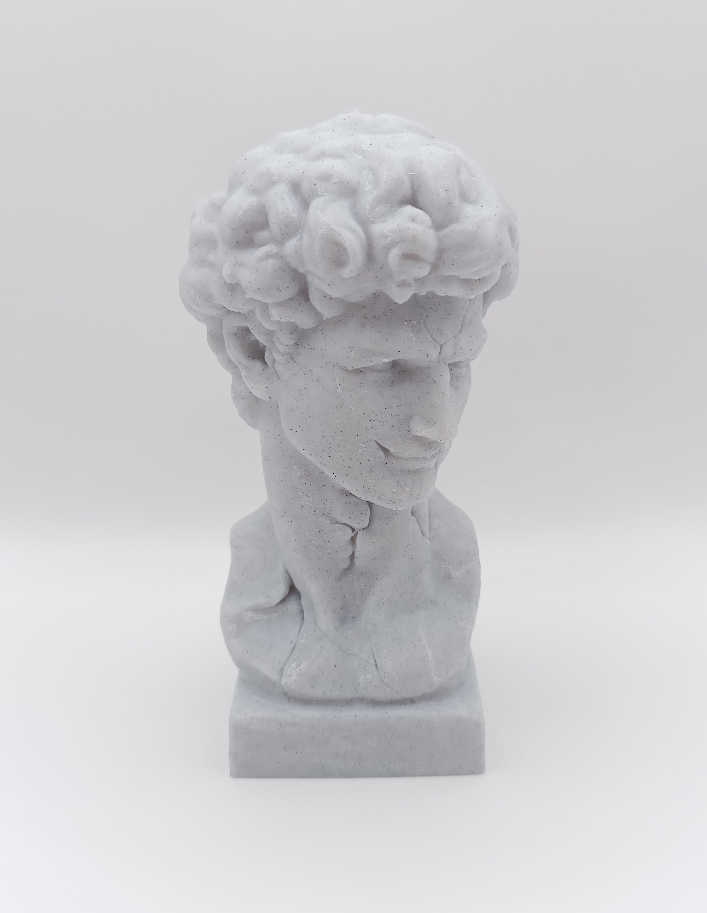 Busto Fratturato David di Michelangelo