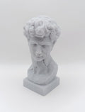 Busto Fratturato David di Michelangelo