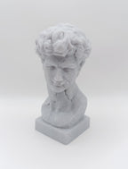 Busto Fratturato David di Michelangelo