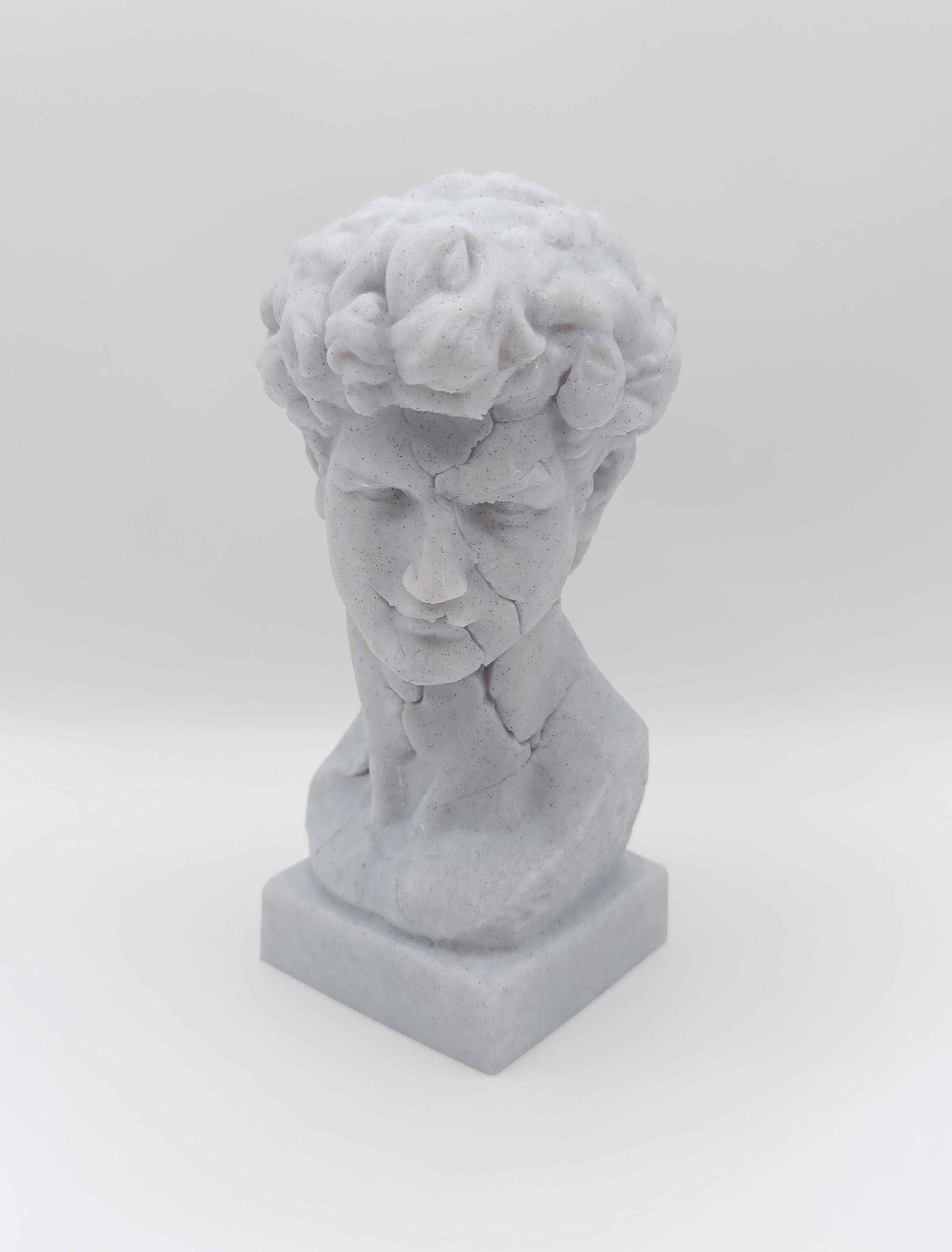 Busto Fratturato David di Michelangelo