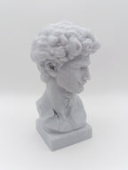 Busto Fratturato David di Michelangelo