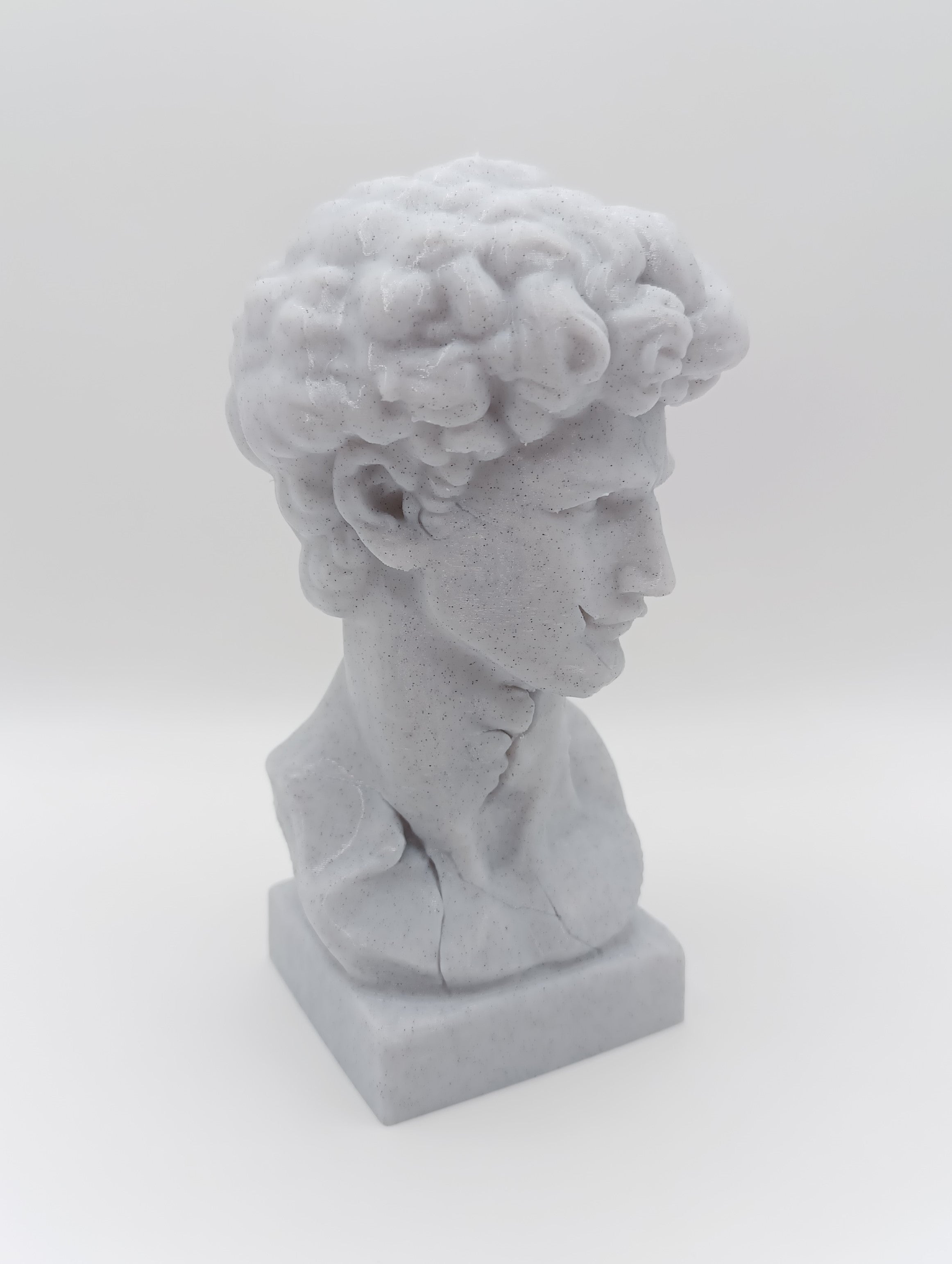 Busto Fratturato David di Michelangelo