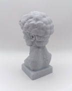 Busto Fratturato David di Michelangelo