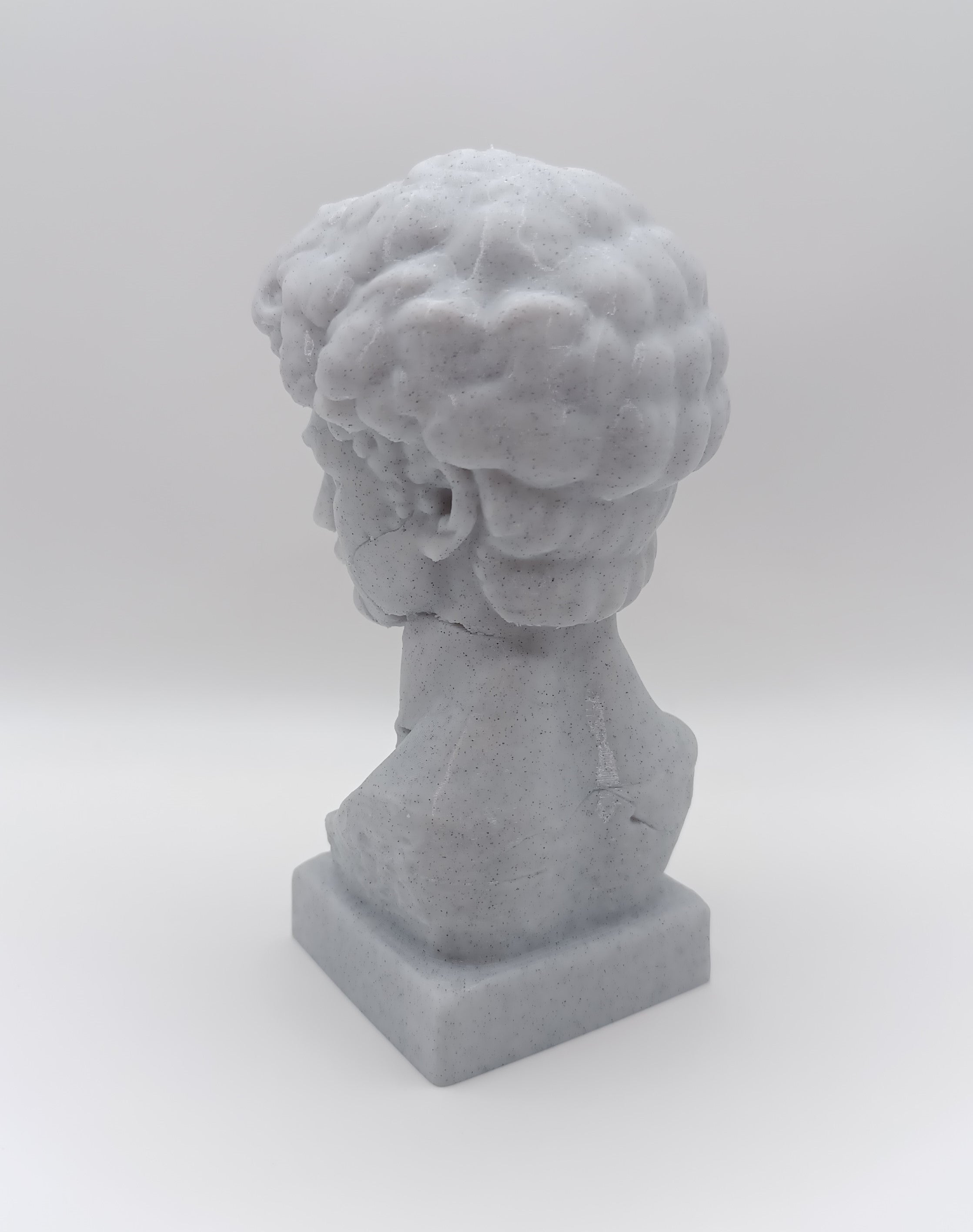 Busto Fratturato David di Michelangelo