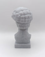 Busto Fratturato David di Michelangelo