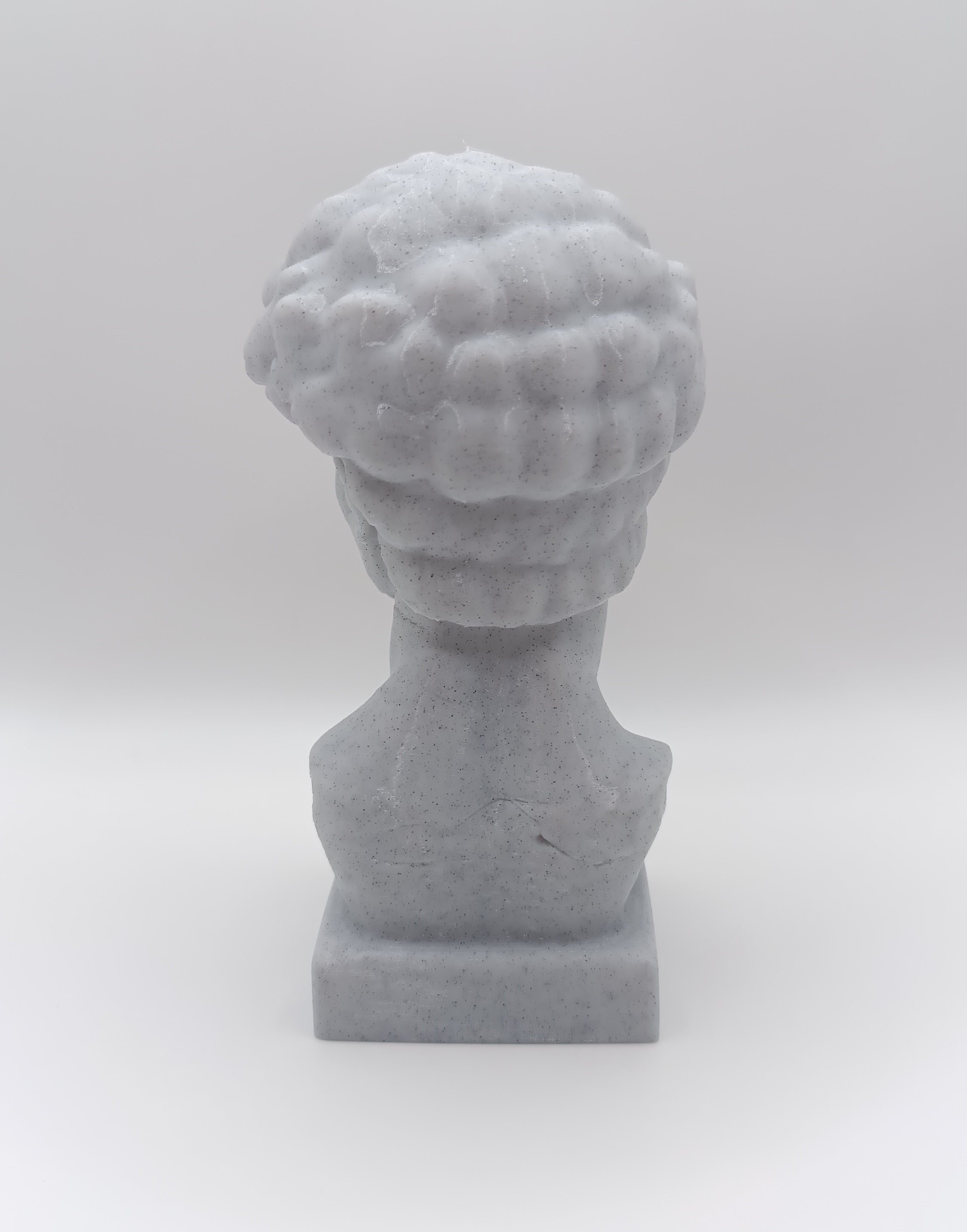 Busto Fratturato David di Michelangelo