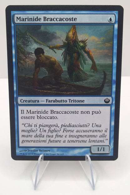 Set Marinide Braccacoste - Triton Shorestalker x3 NM