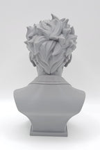 Busto Joker