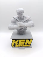 Busto Ken il Guerriero
