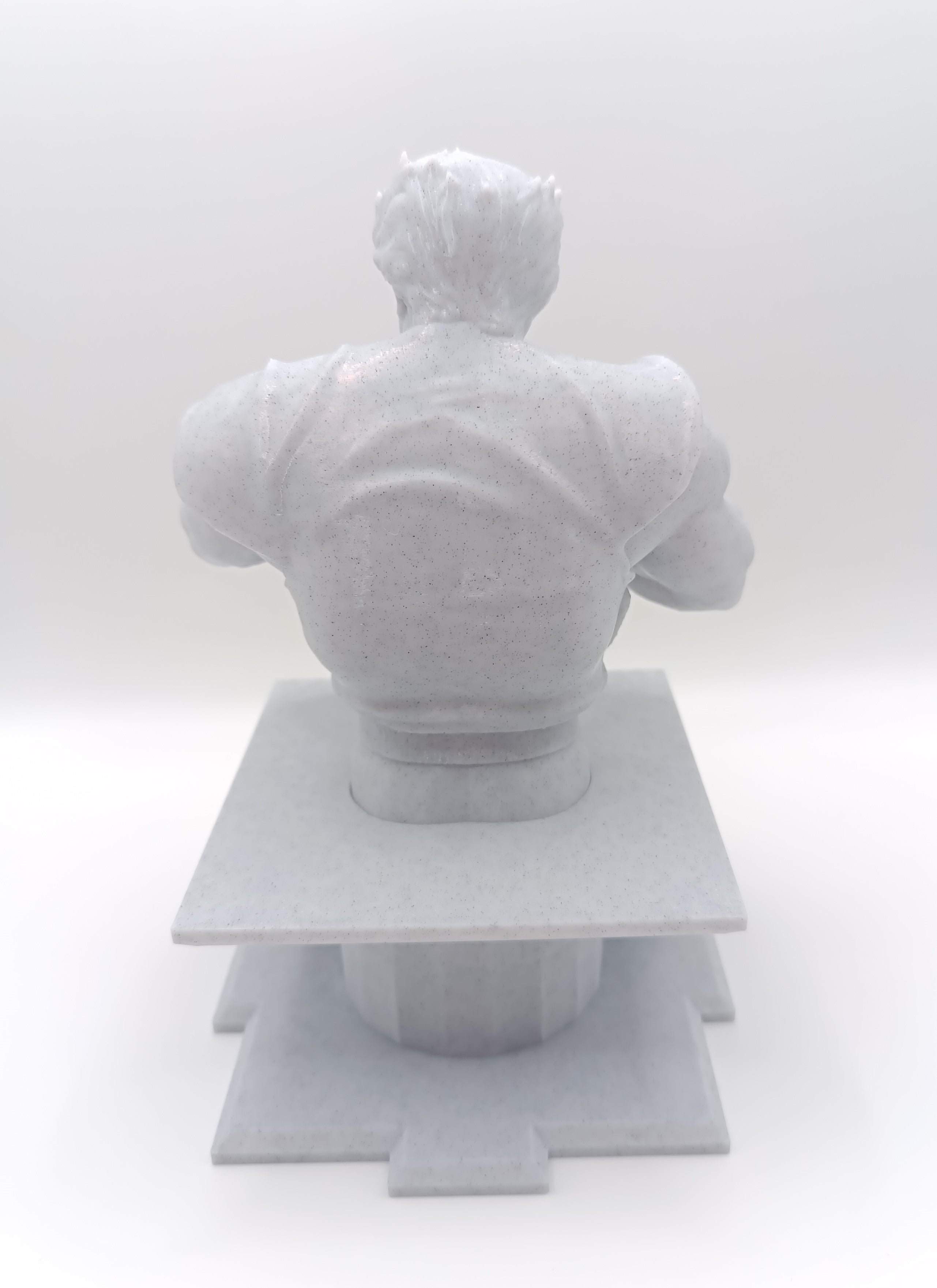 Busto Ken il Guerriero