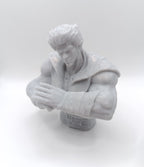 Busto Ken il Guerriero