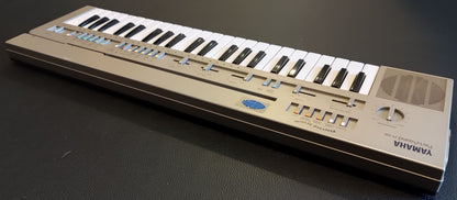 Tastiera Yamaha Portasound PC-100